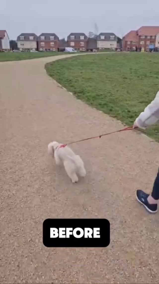 Reactive on the Lead? Here