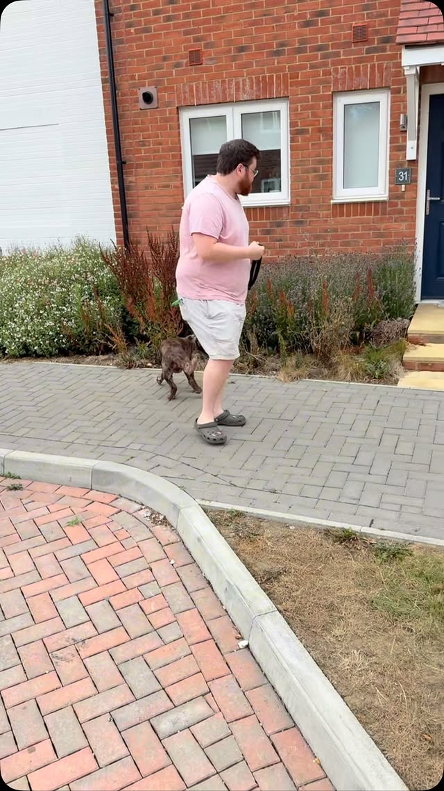 Master Loose Lead Walking with Empire Dogs in West Sussex